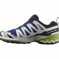 Salomon · XA PRO 3D V9