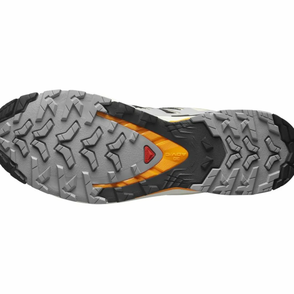 Salomon · XA PRO 3D V9