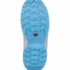 Salomon · XA PRO V8
