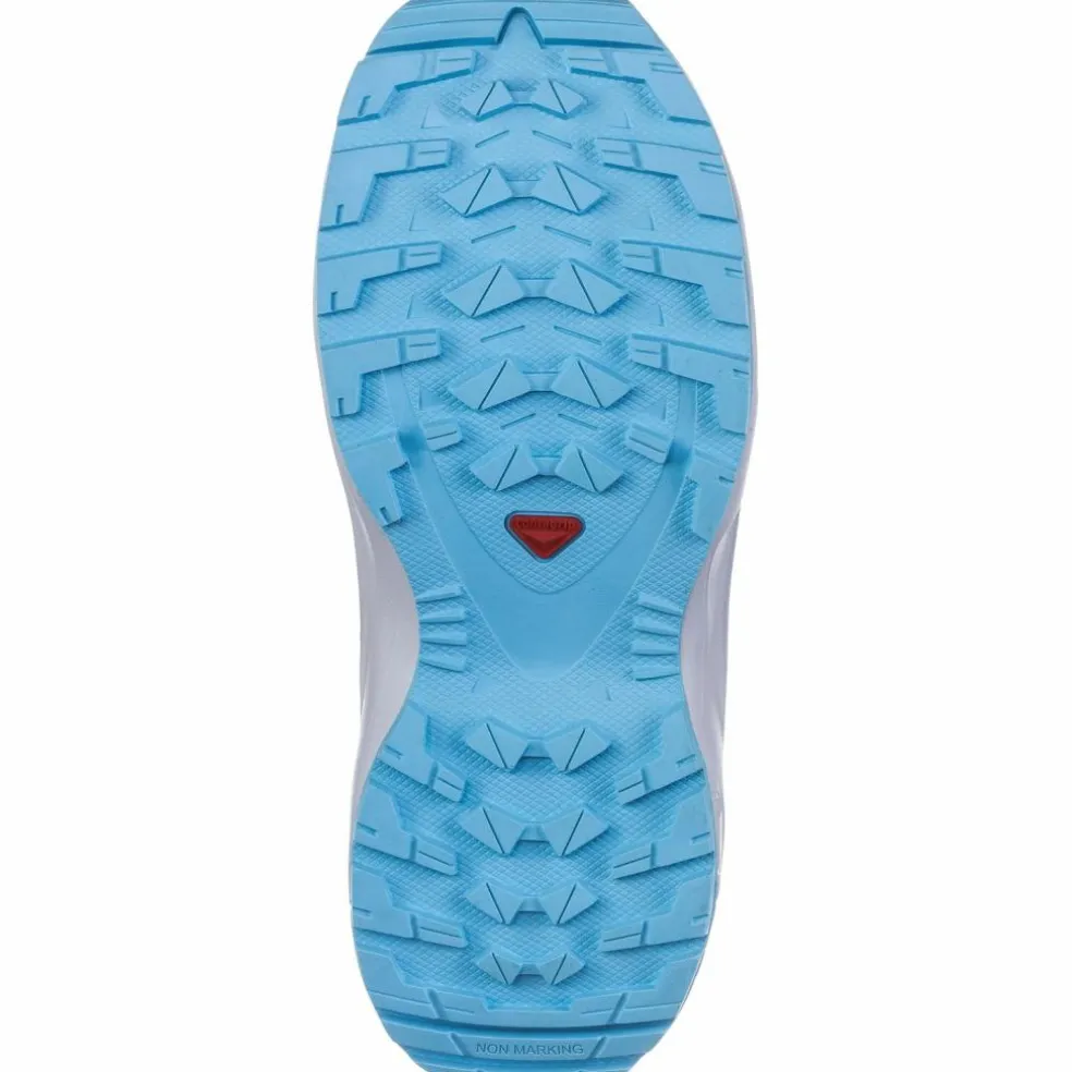 Salomon · XA PRO V8