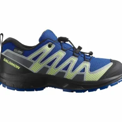 Salomon · XA PRO V8 WP