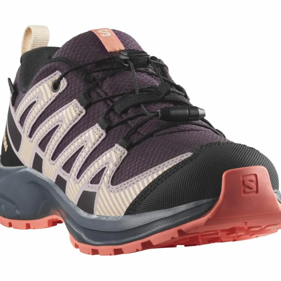 Salomon · XA PRO V8 WP
