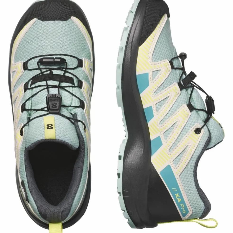 Salomon · XA PRO V8 WP