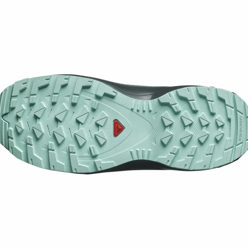 Salomon · XA PRO V8 WP
