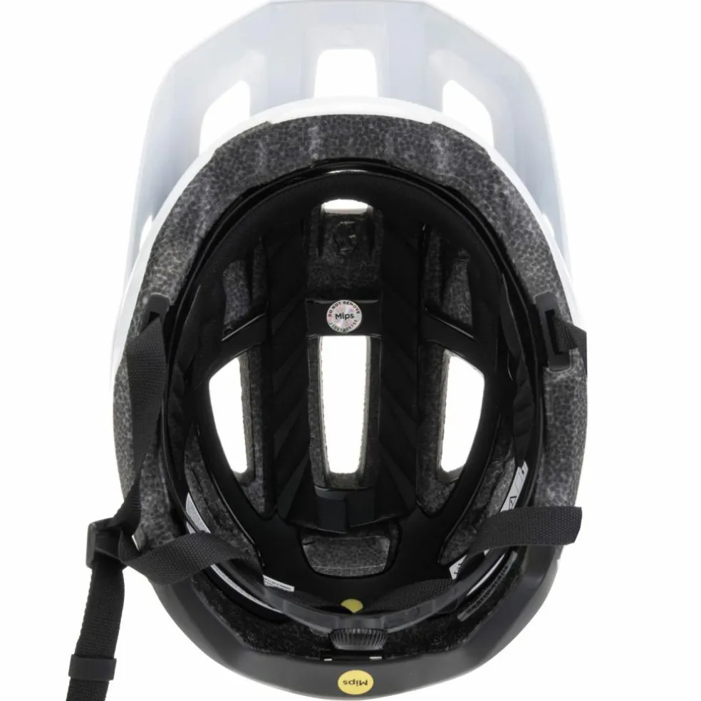 SCOTT · Argo Plus