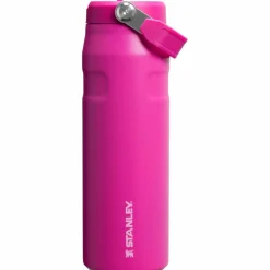 Stanley · The IceFlow Flip Straw 2.0 Bottle