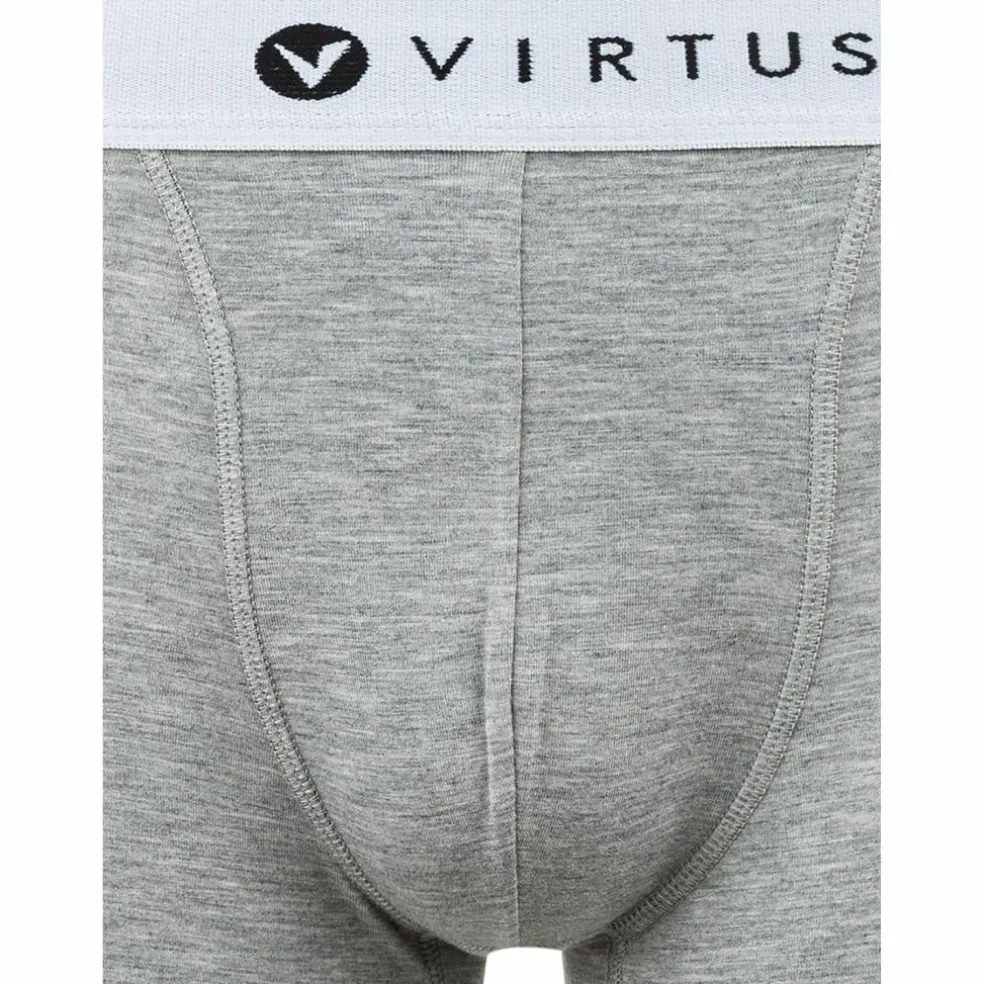 Virtus
