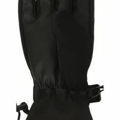 Whistler · Fenwick