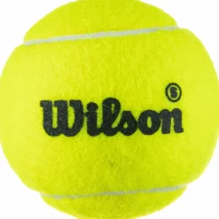 Wilson