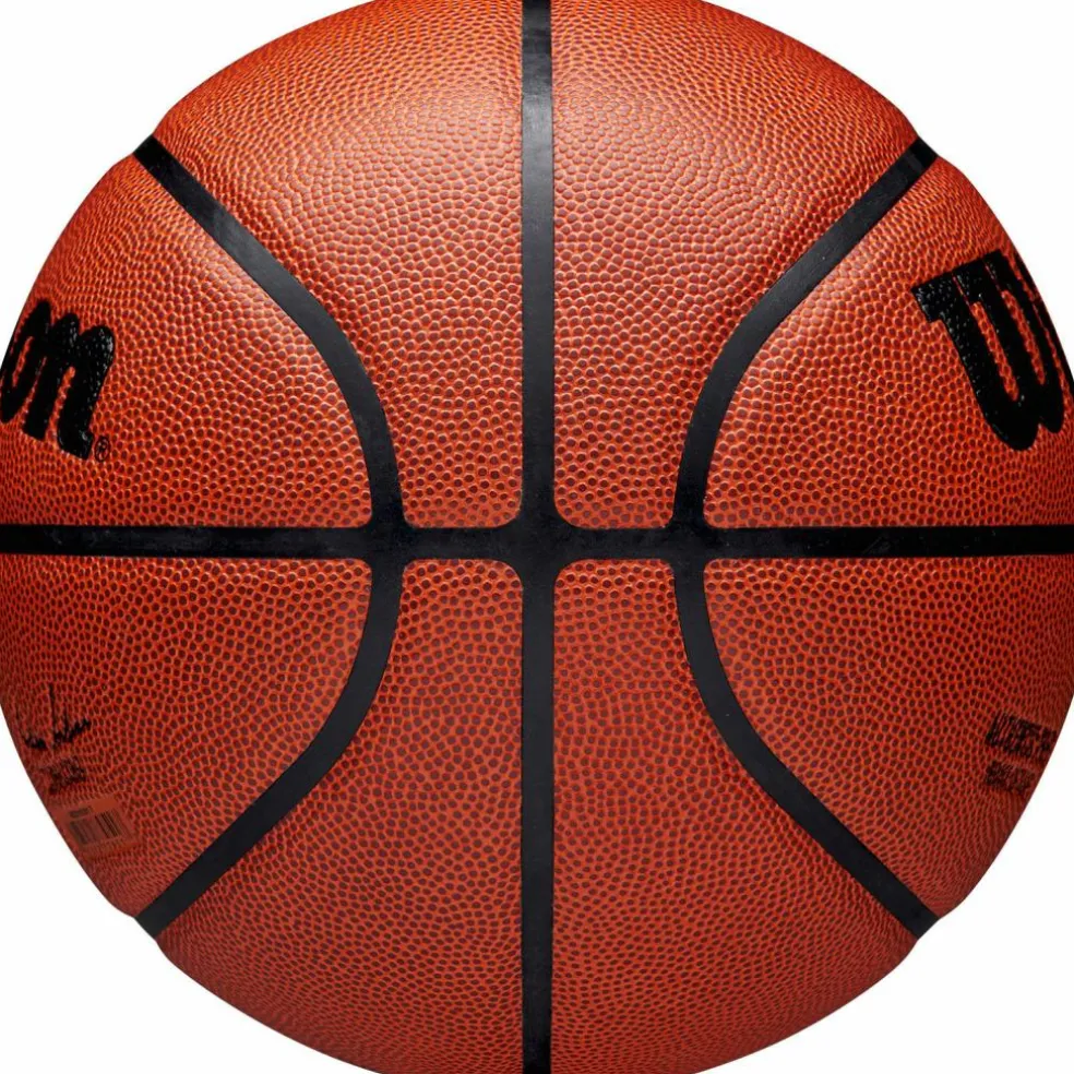 Wilson · NBA AUTHENTIC INDOOR/OUTDOOR