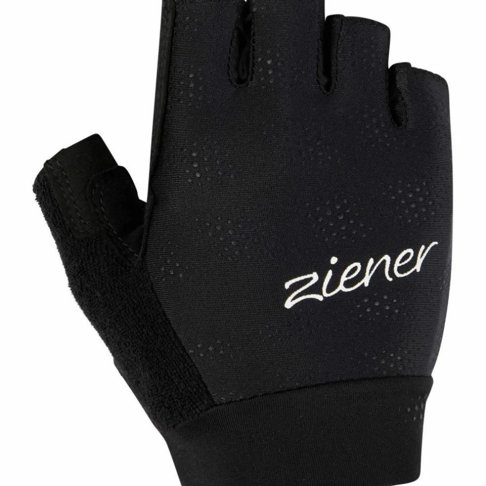 Ziener · CRISSI