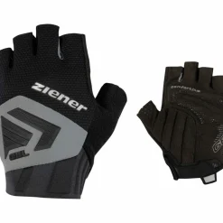 Ziener · CURDIN