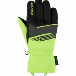 Ziener · LAVIVI